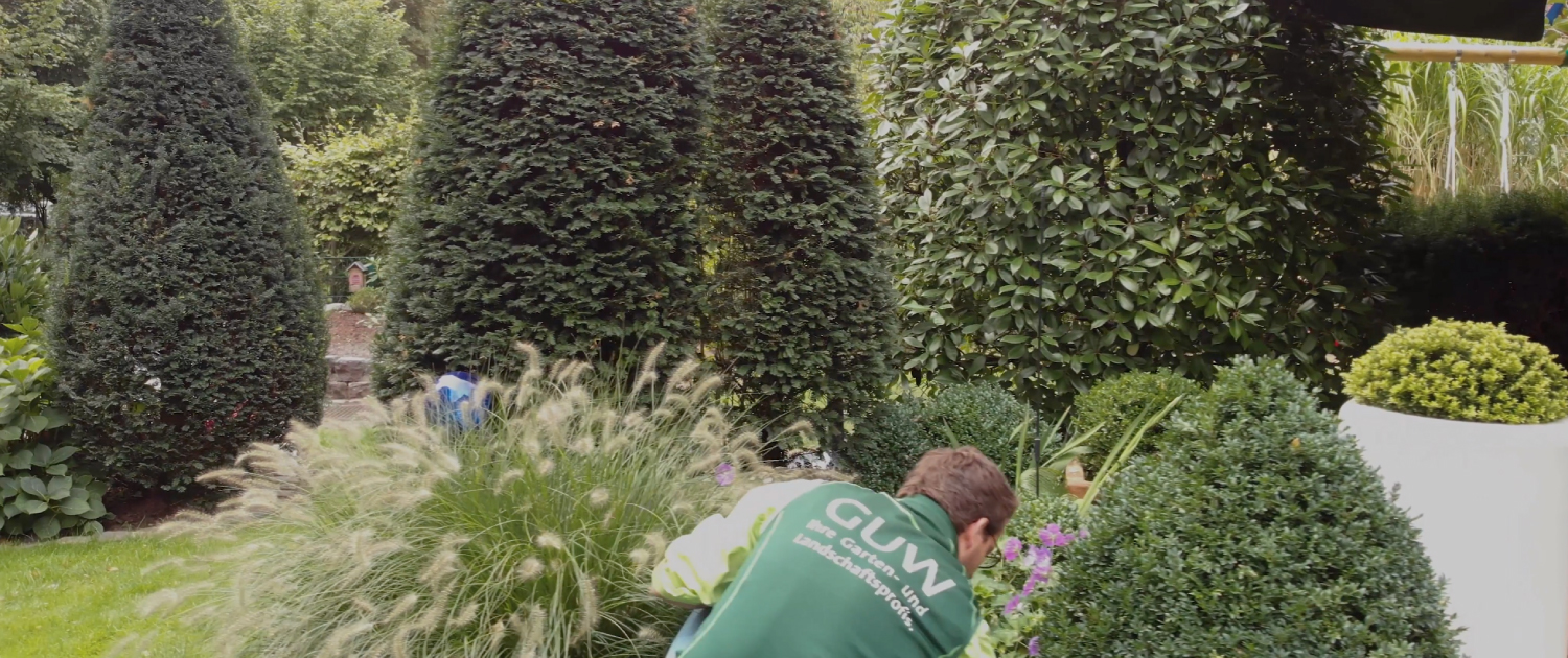 Gartenpflege-Profis Münster GUW