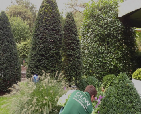 Garten- und Grünflächenpflege in Münster