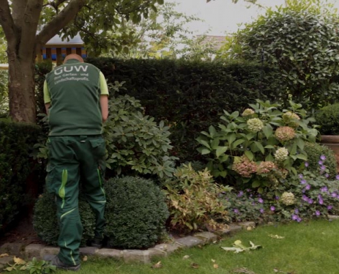 Pflanzeiten im Garten GUW Münster