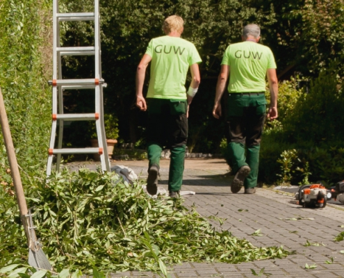 Ganzjährige Gartenpflege in Münster