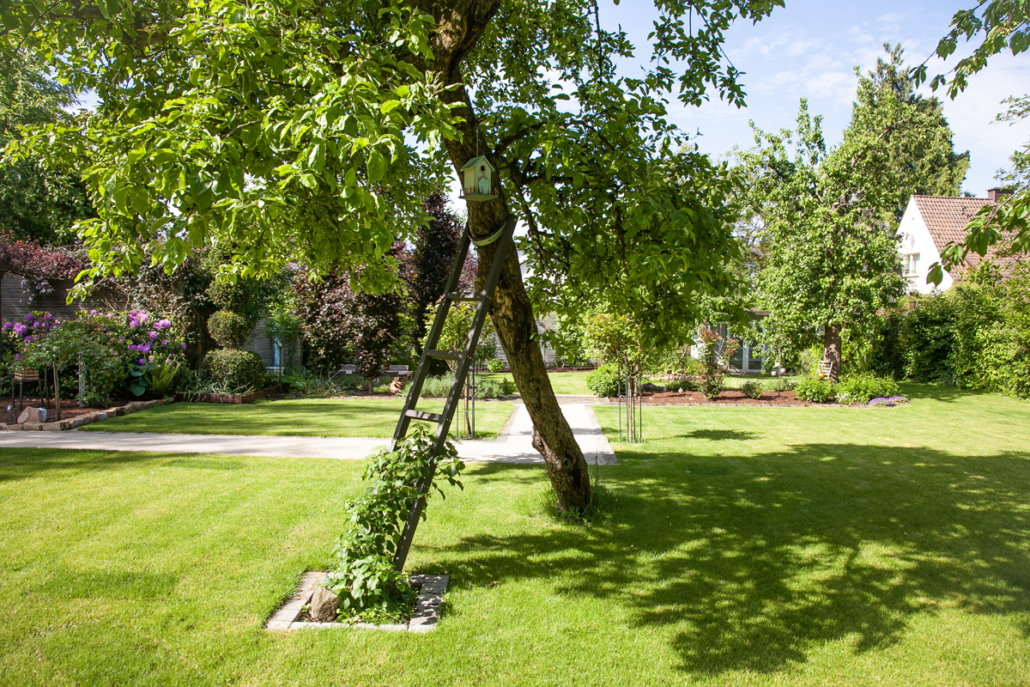 Baumschutz mit den Garten- und Landschaftsprofis der GUW