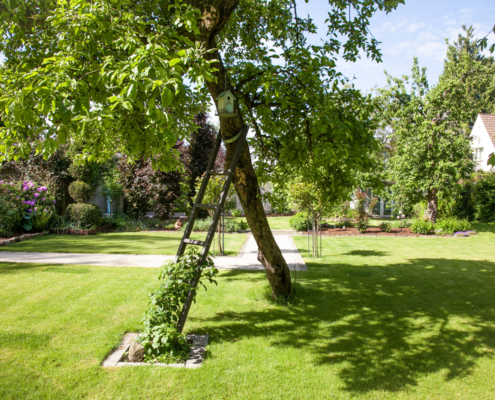 Baumschutz mit den Garten- und Landschaftsprofis der GUW