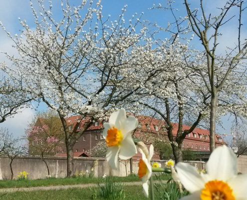 Der Klostergarten des Kapuzinerklosters in Münster