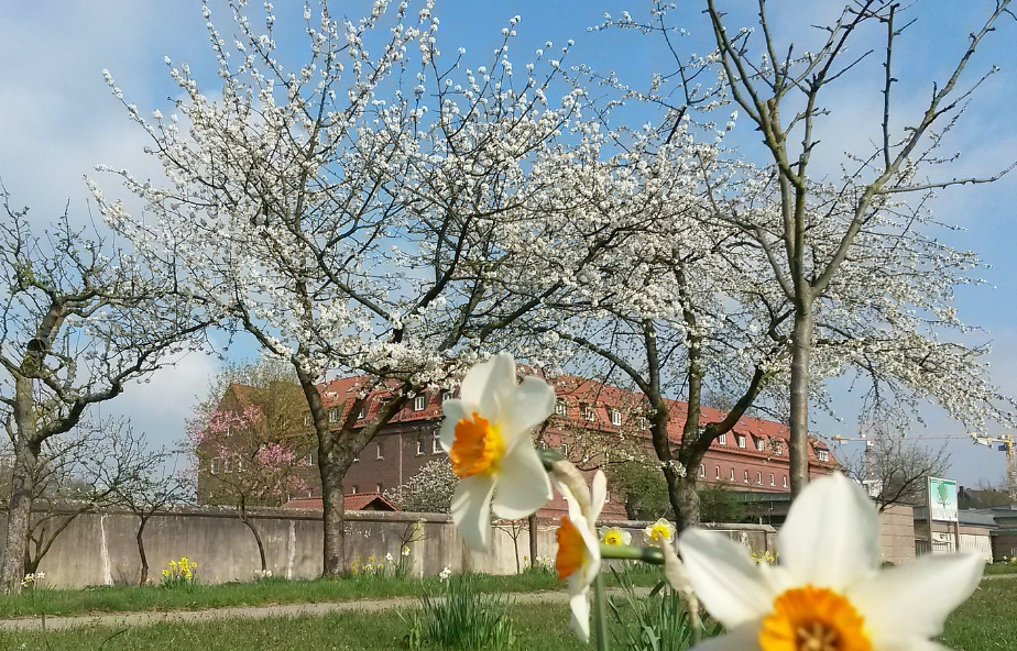 Der Klostergarten des Kapuzinerklosters in Münster 