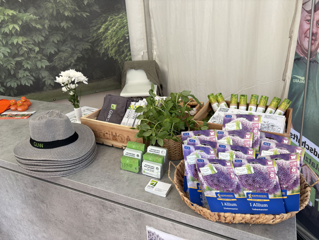 Bienenfreundliche Allium-Blumenzwiebeln standen bei unserer Spendenaktion im Mittelpunkt – für einen guten Zweck und mehr Vielfalt im Garten.